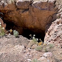 Charlie Ross Homestake 3rd biggest mine of the district