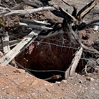 Grey Eagle high grades on surface