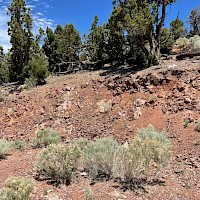 White Point high grade easy to add ounces